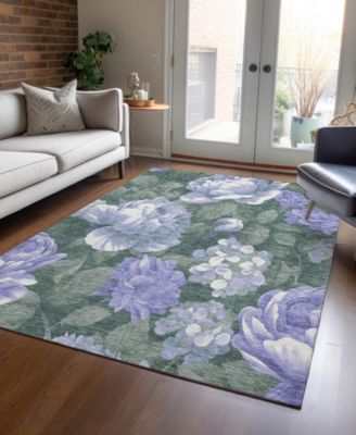 Chantille Machine Washable ACN1563 8'x10' Area Rug