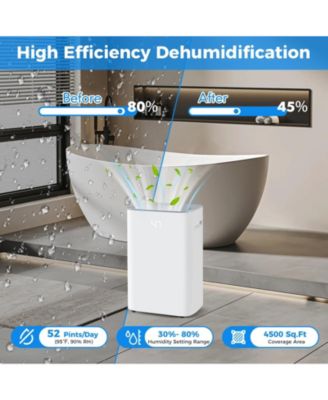 Dehumidifier with Auto Drain or Manual Drainage for Home Basement