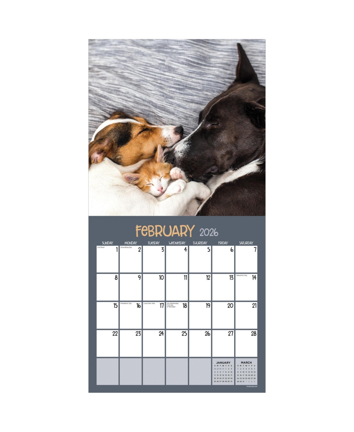 2026 Furry Friends Wall Calendar - Multicolor