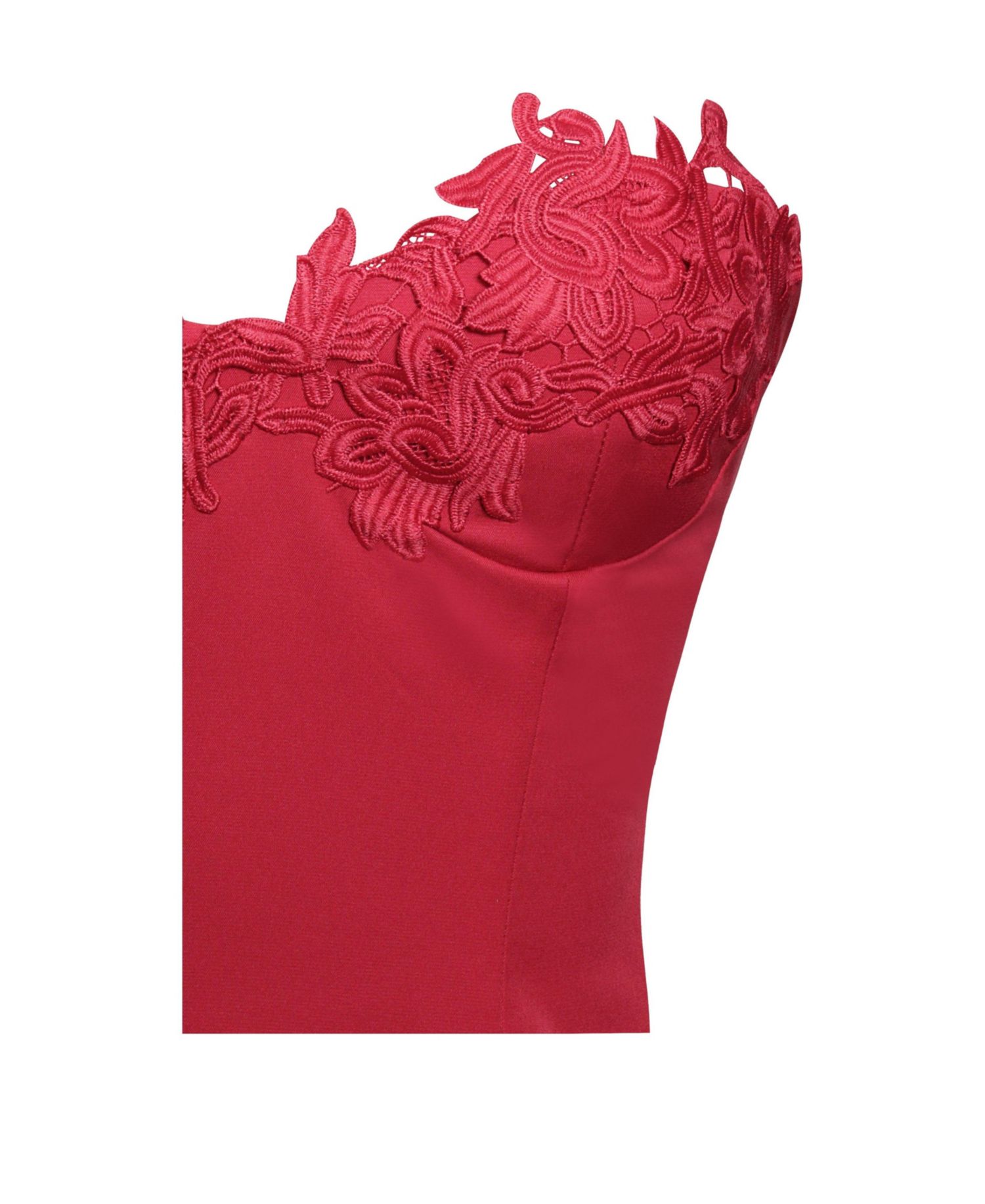 Women's Sacha Red Lace Drop Waist Corset Puffy Mini Dress