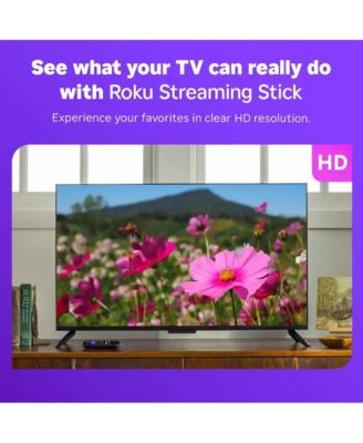 Streaming Stick HD with Voice Remote