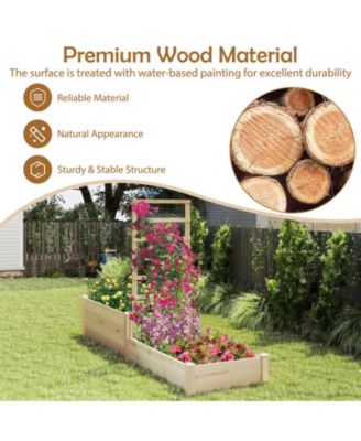 Raised Garden Bed with Trellis and 2 Elevated Planter Boxes for Space-Saving Vertical Gardening
