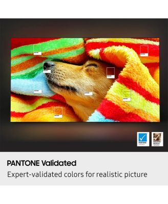 S85F 77 Inch OLED 4K Smart TV