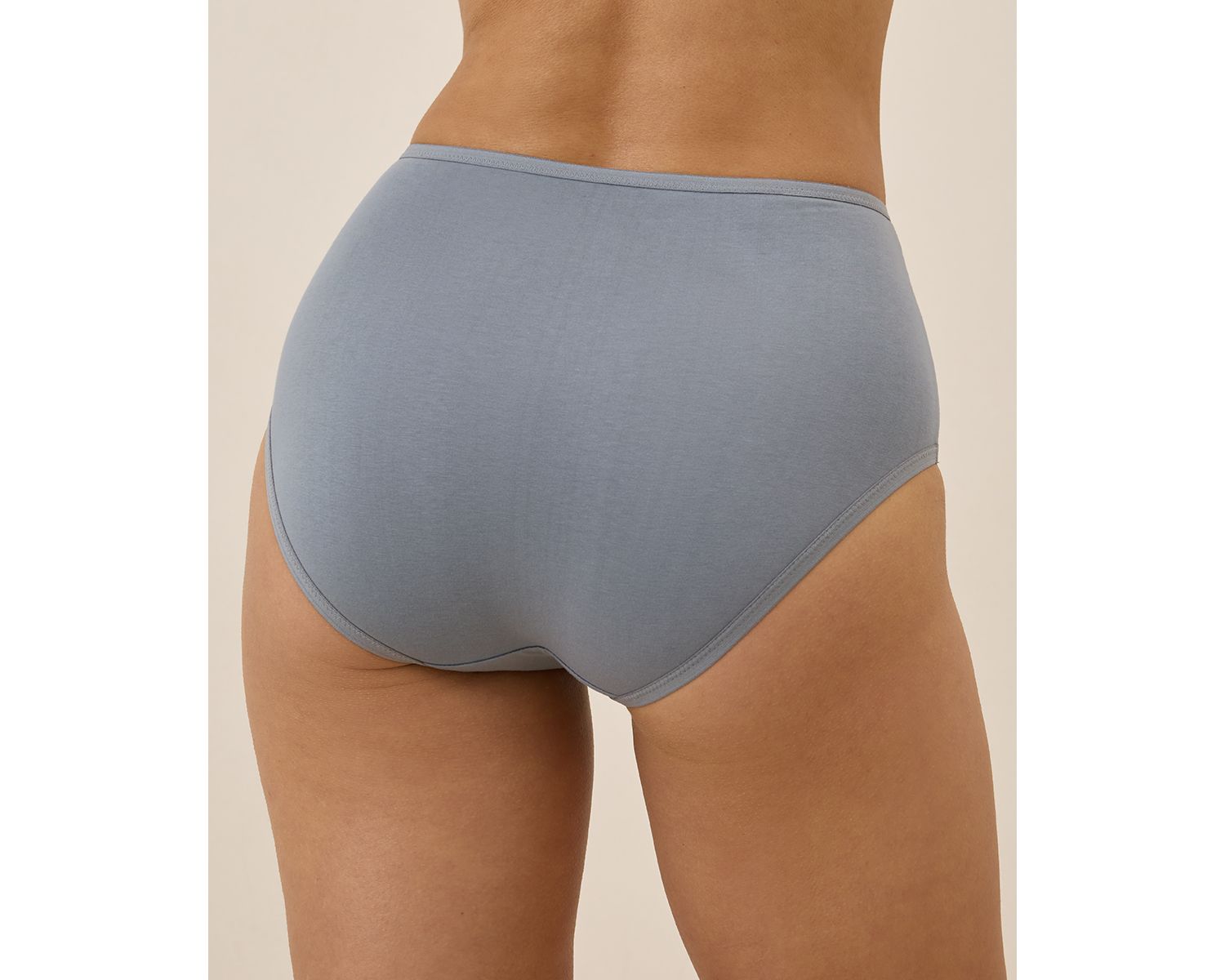 Women's Organic Cotton Everyday High Rise Brief 6-Pack