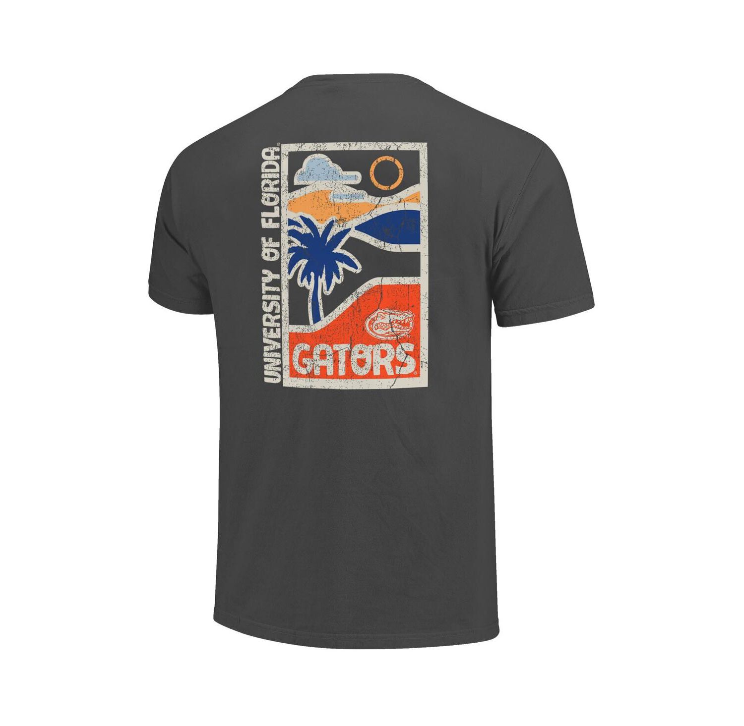 Men's Graphite Florida Gators Comfort Colors Minimal Vista Distressed Graphics T-Shirt