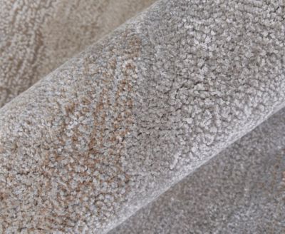 Anya 8921F 2'x3' Area Rug