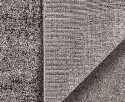 Skyview 39QCF 2'6"x7'3" Runner Area Rug