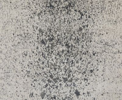 Astra 39L2F 8'x10' Area Rug