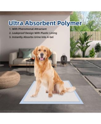 New Born All-Absorb, Small  Dog and Puppy Training Pads, Ultra Absorbent and Odor Eliminating, Leak-Proof 5-Layer Potty Training Pads with Quick-Dry Surface, Blue Extra Small 17.5 x 23.5 inch, 240ct