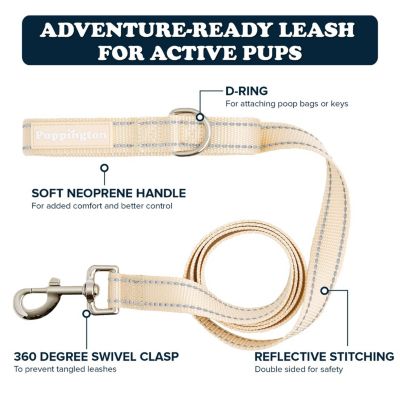 Reflective Leash