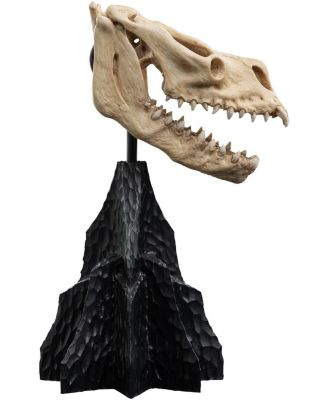 Polystone - The Lord of the Rings Trilogy - Skull of a Fell Beast Polystone Statue