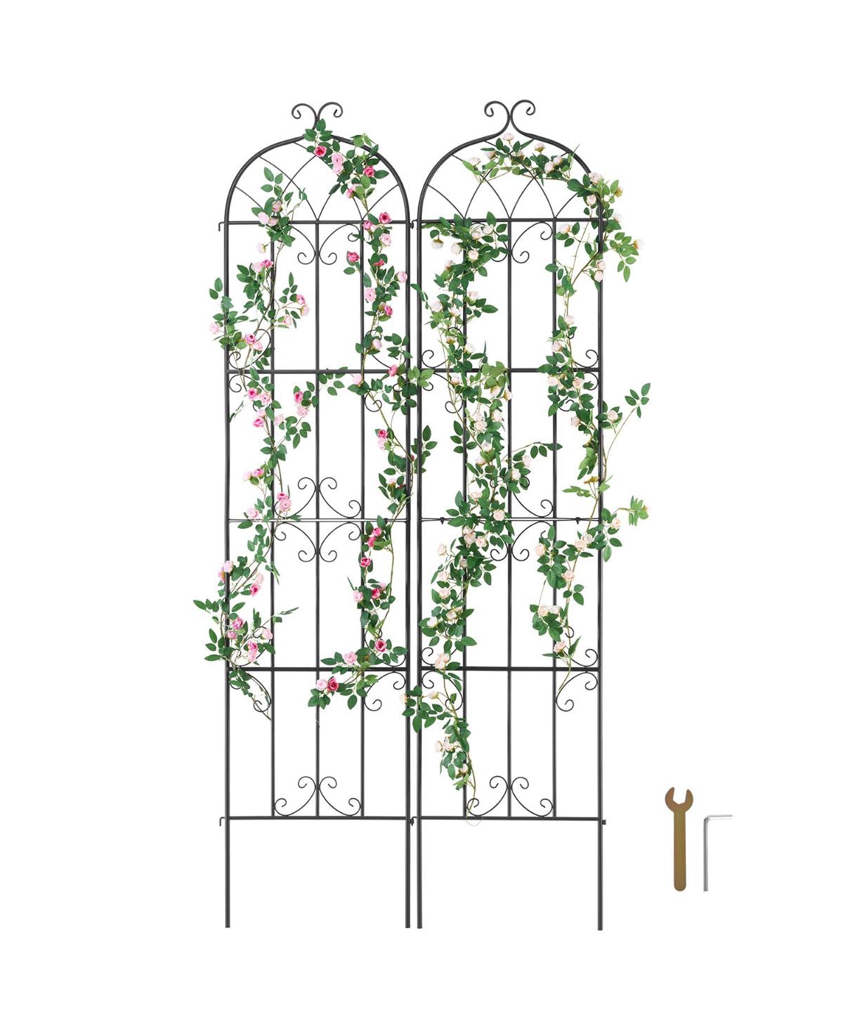 Set of 2 Rustproof Metal Trellises for Garden Climbing Plant Support and Decoration - Black