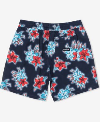 Men's Cannonball Volley Boardshorts
