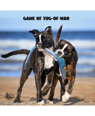 Blue Ribbon Eel Snuffle Dog Toy,Christmas gift,No Stuffing Squeaky Long Snake,Crinkle/Snuffle/Tug Toy for All Breeds