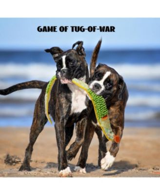 No Stuffing EEL Crinkle Dog Squeaky Toys - Durable Dog Toys, Small Puppy Toys | Tough Dog Toys for Small Medium Large Dogs Yellow）