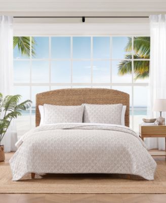 Tommy Bahama