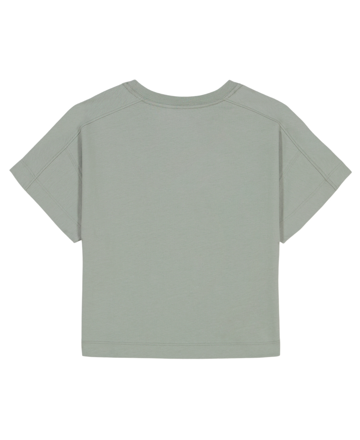 Calvin Klein Big Girls Applique Boxy Short Sleeve T-shirt In Green