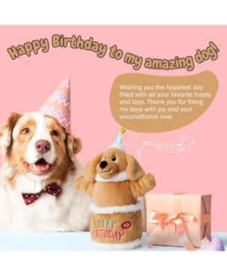 Birthday Cake Dog Toy, Dancing with Echo Function Feature, Singing Birthday Songs, Interactive Dog Toys, Plush Stuffed Puppy Toy