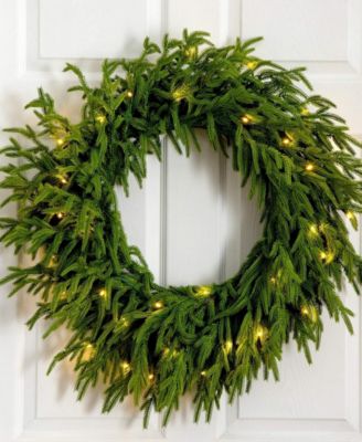 24" Pre-Lit Artificial Touch Norfolk Island Pine Wreath LED Lights and Natural Look
