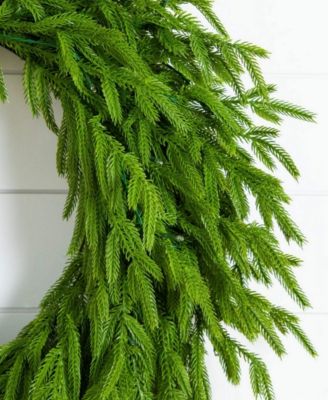 24" Pre-Lit Artificial Touch Norfolk Island Pine Wreath LED Lights and Natural Look
