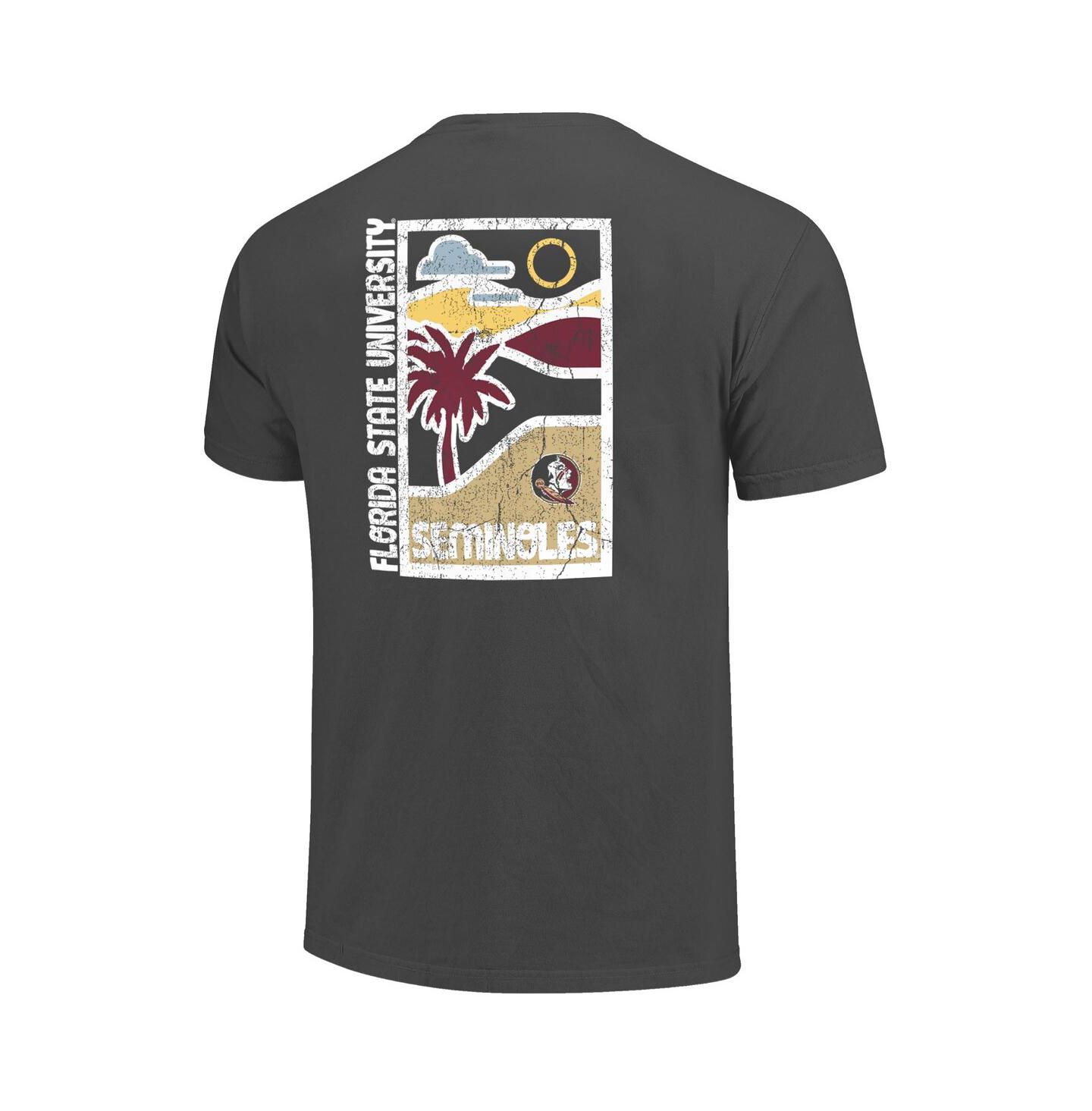 Мужская футболка Image One Graphite Florida State Seminoles Comfort Colors Minimal Vista Distressed Graphics — фото 3