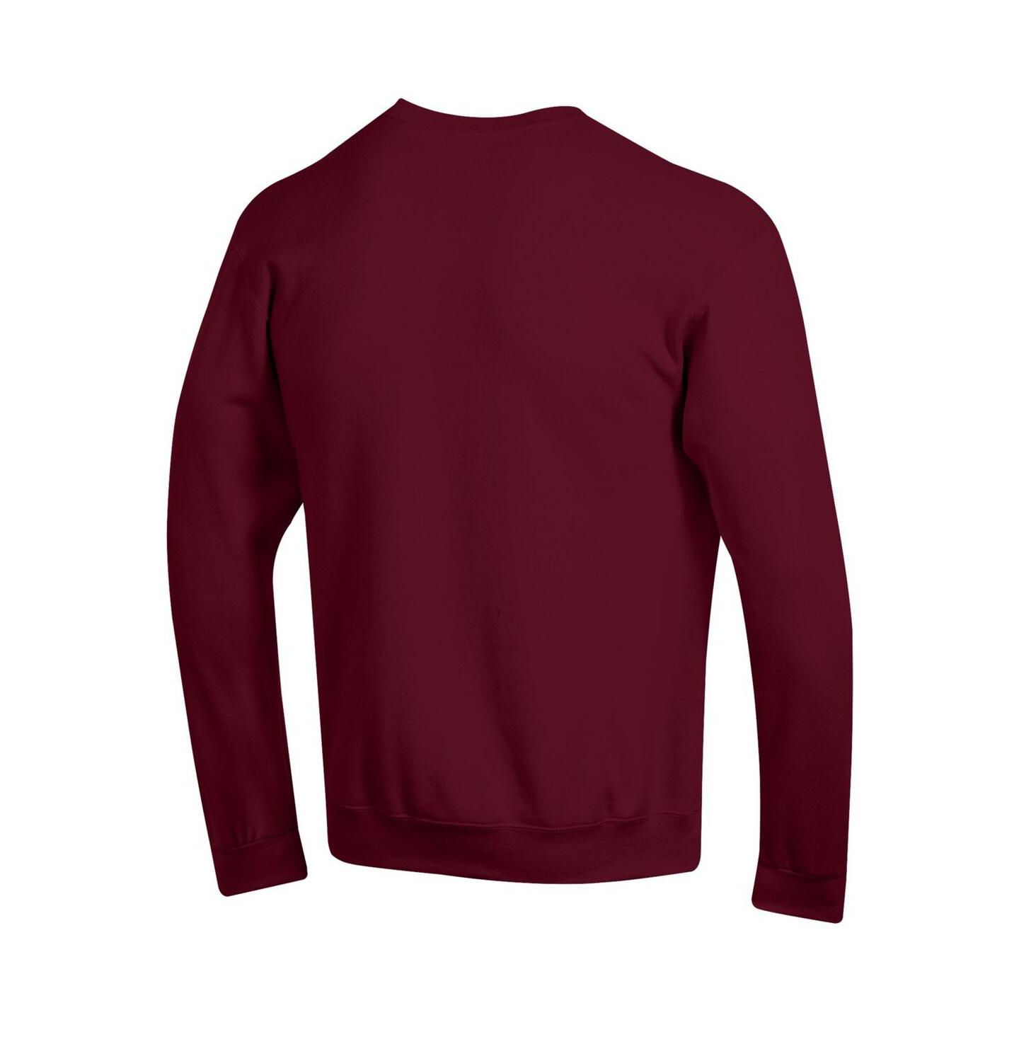 Мужская толстовка Champion Crimson Harvard Crimson Basic Arch Fleece Pullover, цвет: Малиновый — фото 3