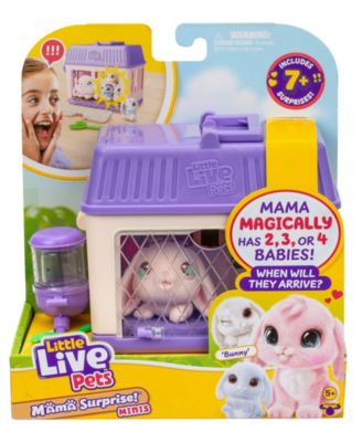 Mama Surprise Mini Playset- Styles May Vary