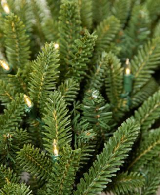 10 ft Fraser Fir Pre-Lit Garland