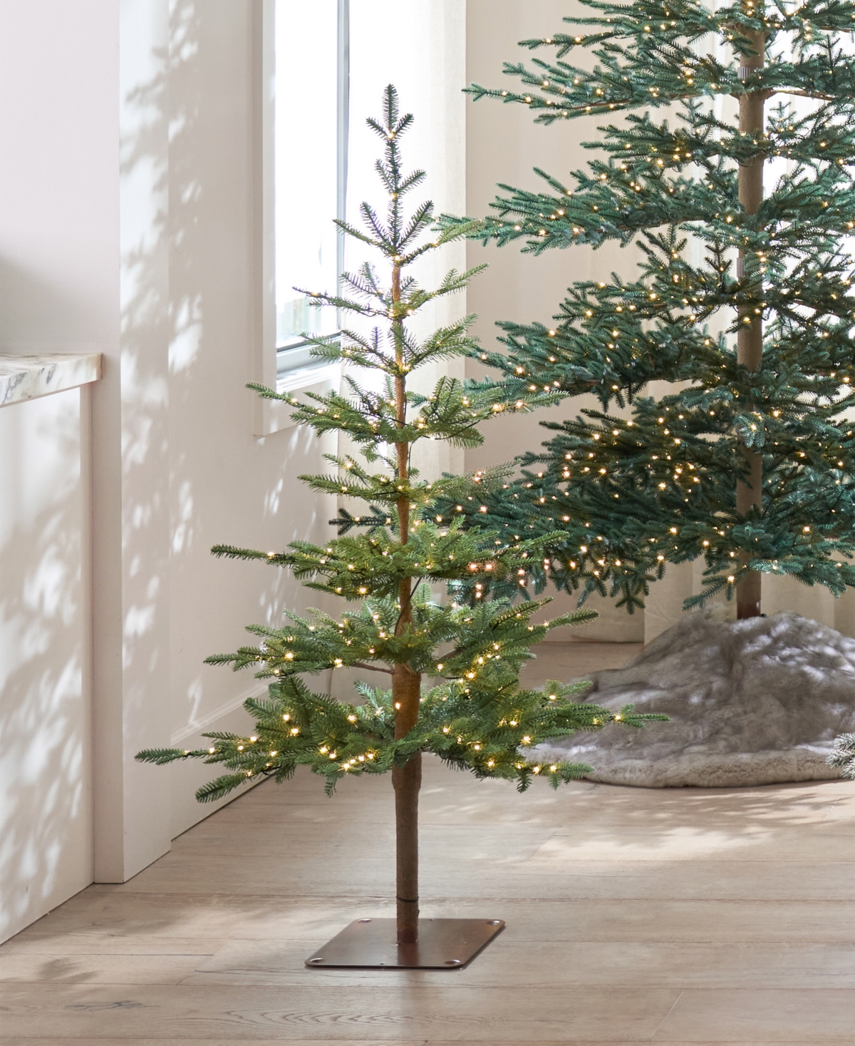 Balsam Hill 3 Ft Alpine Balsam Fir Pre-lit Tabletop Tree In Green