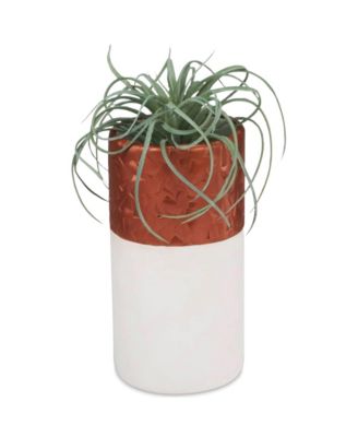 Premo: Multipack Sampler Pack - (24) 1oz Packs