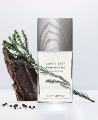 Men's L'Eau d'Issey Pour Homme Eau de Parfum, 4.2 oz.