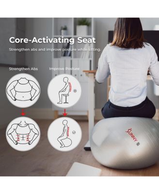 Premium Yoga Ball Medium 65CM Anti-Burst Exercise Ball with Pump for Workouts, Physical Therapy