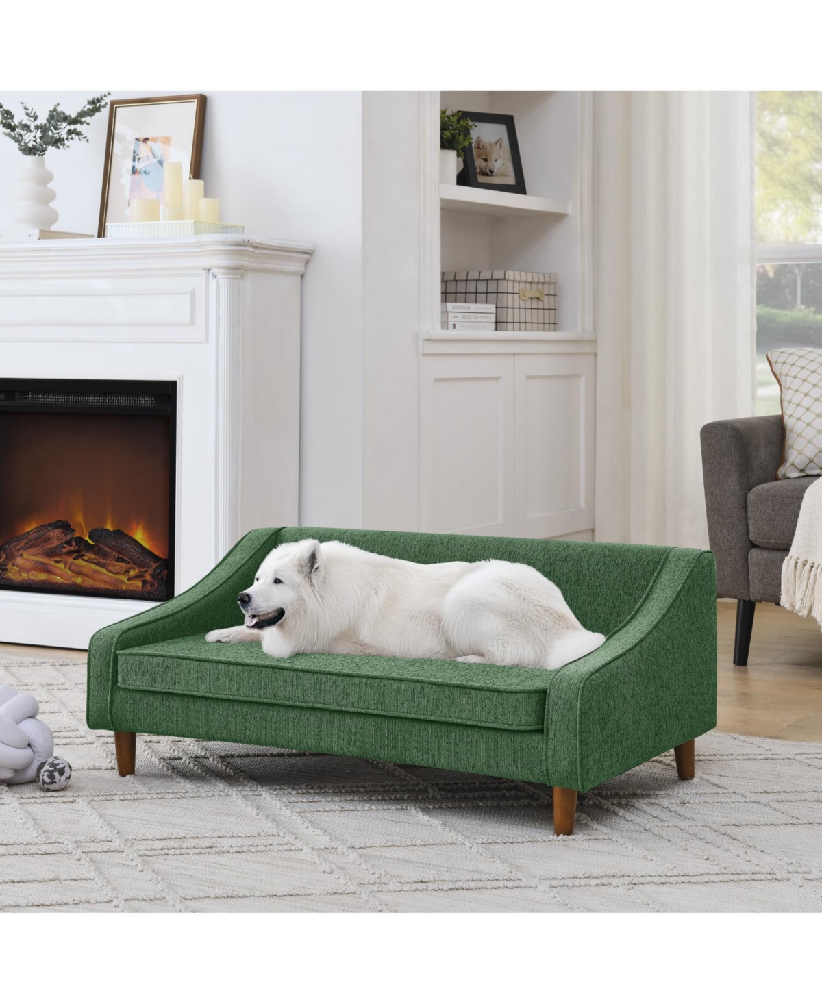 Elevated Dog Sofa Bed - Green - Green