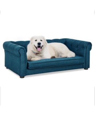 Elegant Elevated Dog Bed - Blue