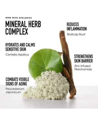 SKINLONGEVITY&reg; Cushion Cloud Gentle Foaming Cleanser