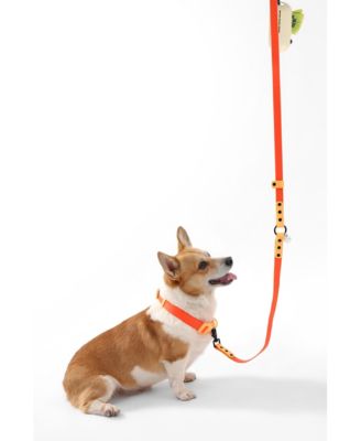 Luna 8FT Adjustable 6-in-1 Waterproof Hands-Free Leash and Collar with LED Flashlight, Bag Dispenser, and Poop Bag Holder