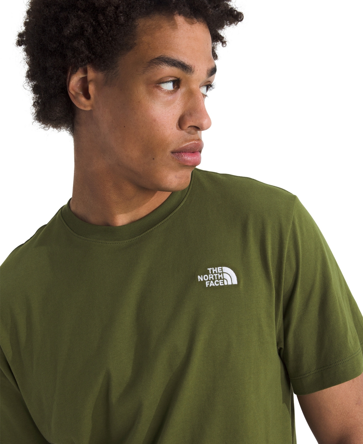 The North Face Men's Evolution Simple Dome Short Sleeve T-shirt In Green