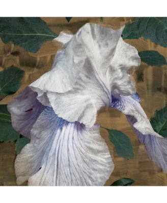 Eyes Closed Eau de Parfum Spray, 1.6 oz.