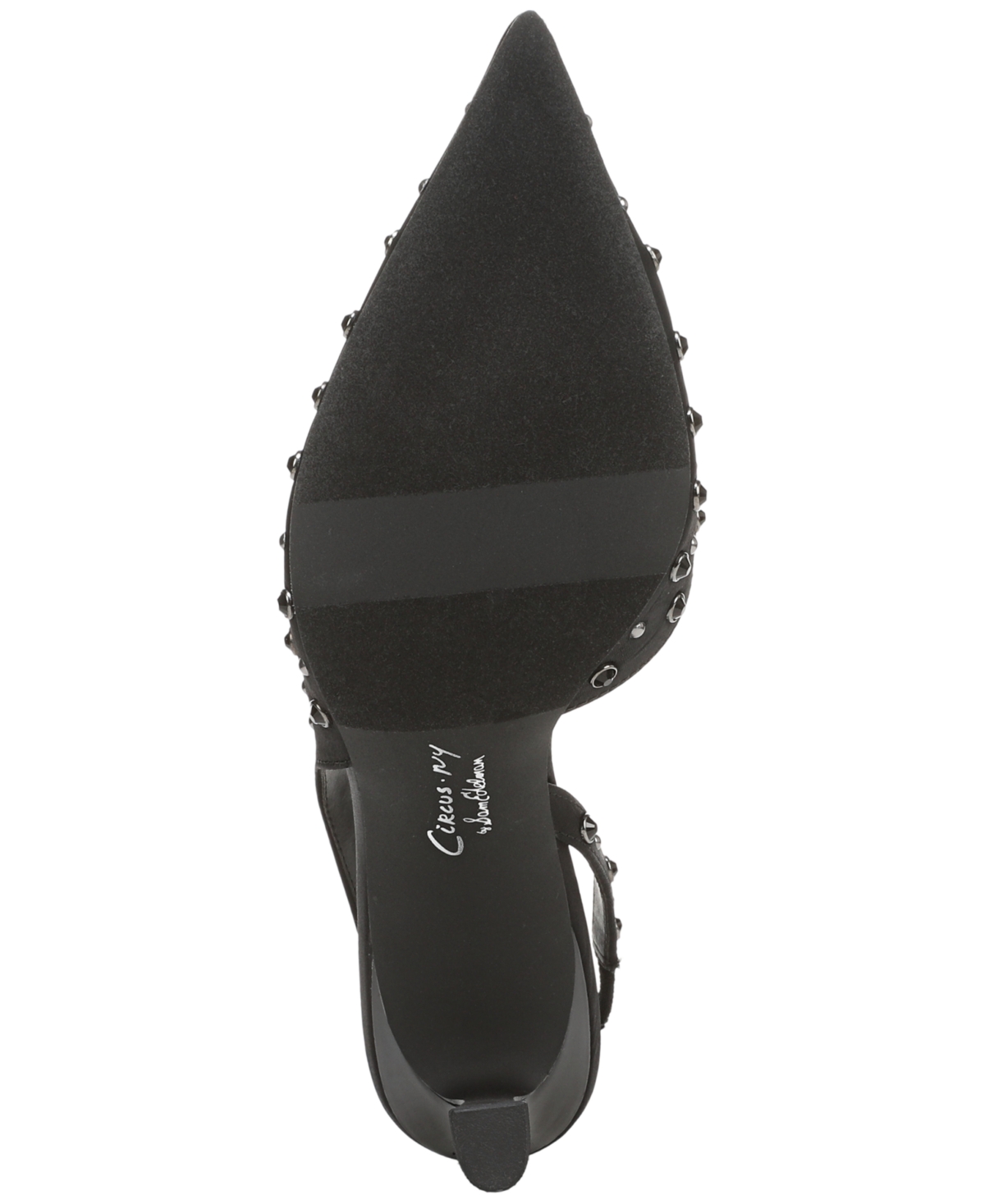 Circus Ny By Sam Edelman Tallie Pointed Toe Slingback Pump In Black