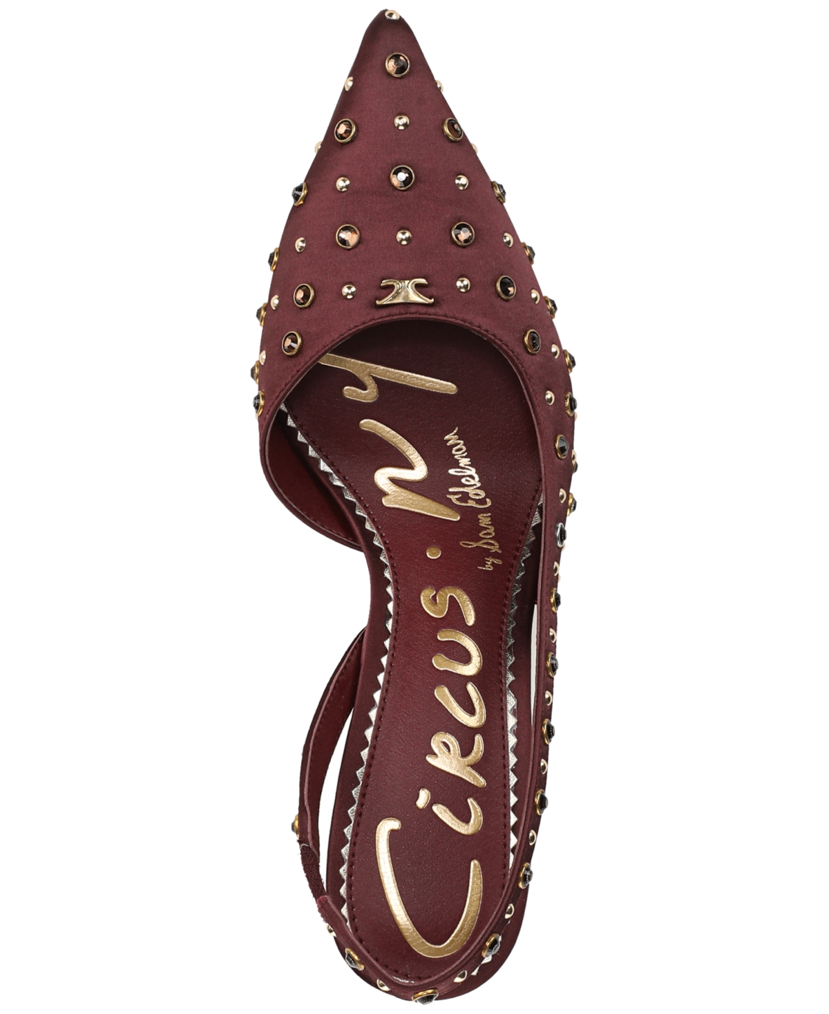 Circus Ny By Sam Edelman Tallie Pointed Toe Slingback Pump In Burgundy