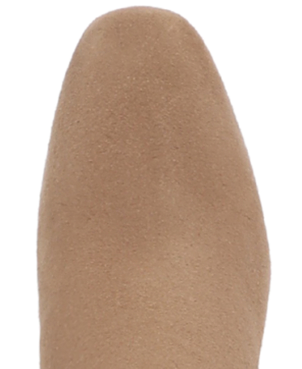 Circus Ny By Sam Edelman Brigid Over The Knee Boot In Brown