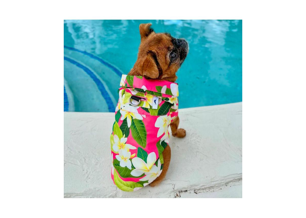 Tommy Bahama Pet Hawaiian Shirt & Apparel Harness