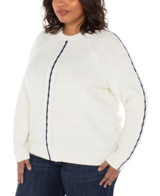 Plus Size Crewneck Long Sleeve Raglan Sweater