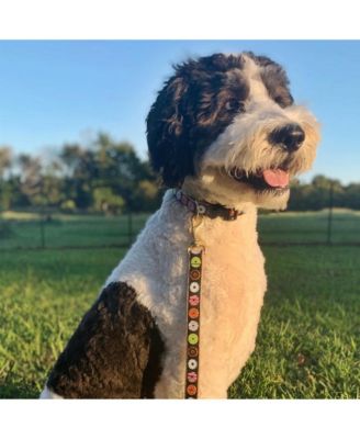 Up Country Donuts Dog Lead