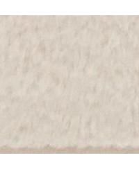 Women's Sheared Faux Fur Snap Front Jacket