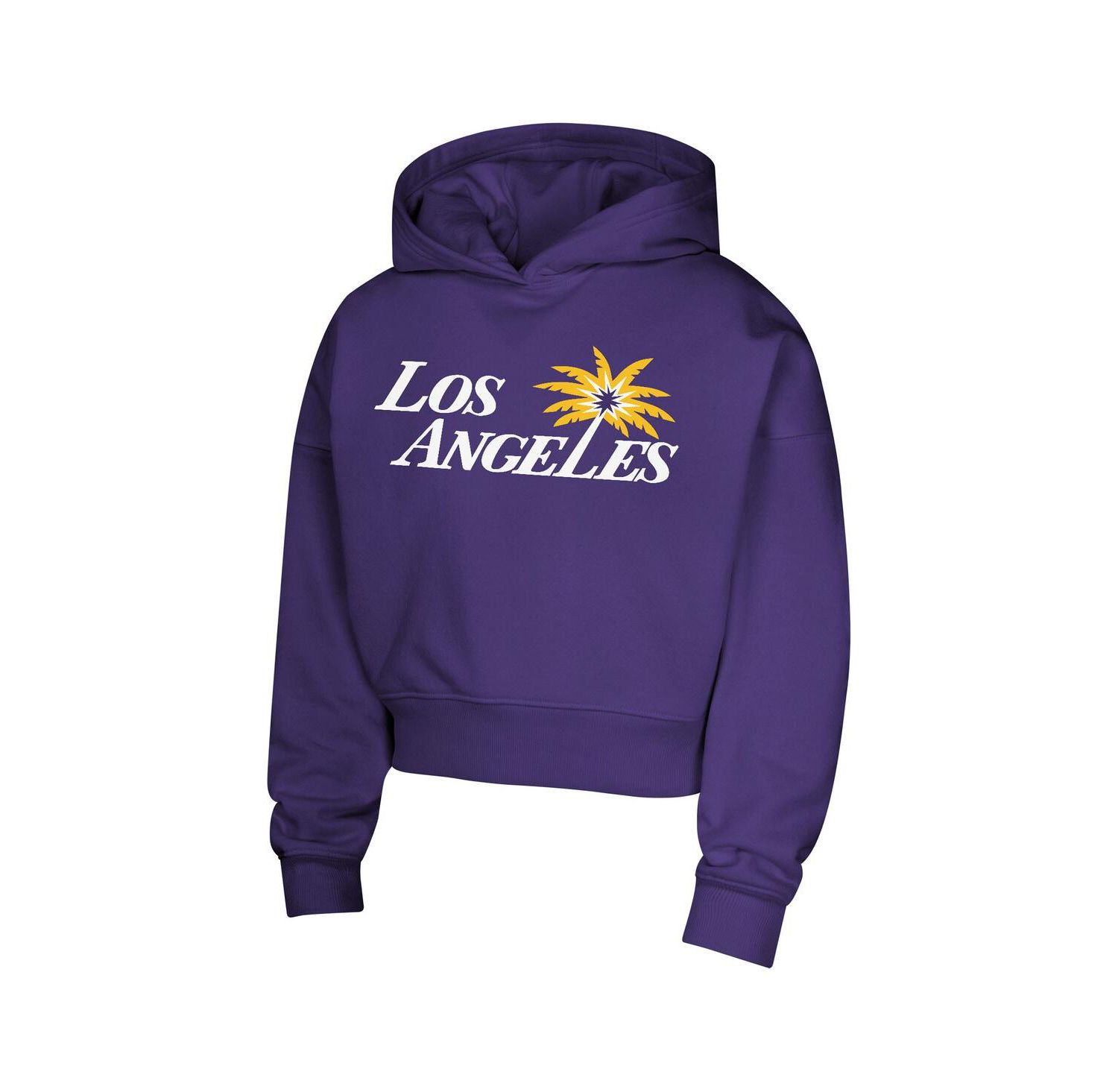 Big Girls Purple Los Angeles Sparks Closer Pullover Hoodie