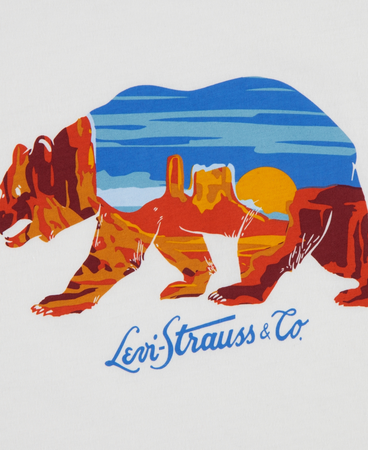 Levi's Big Boys Scenic Bear Short Sleeve T-shirt In White