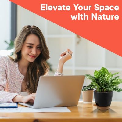 Black Self Watering Pots 10 Pack, Indoor and Outdoor Plant Pots with Wick Rope & Drainage Holes, Easy Watering Lip, Lightweight Plastic Self Watering Planter for Succulents, Houseplants, and Herbs