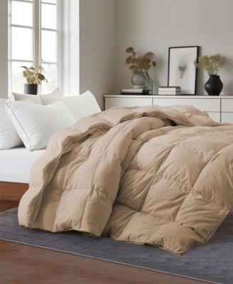 Cozy Medium Warmth Down Feather Fiber Comforter, California King
