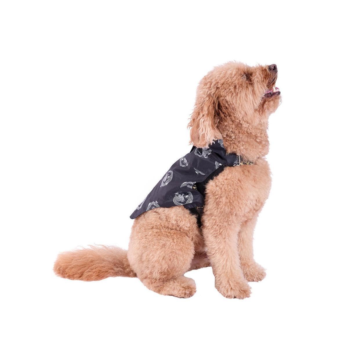 Natori Black Camp Shirt & Harness Set